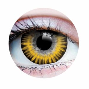 LE SIEUR CONTACT LENSES CHESNU
