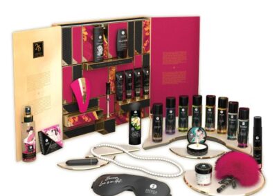 SHUNGA CALENDAR OF DESIRES 25