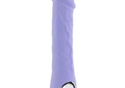 EVOLVED VIBRATOR PURPLE