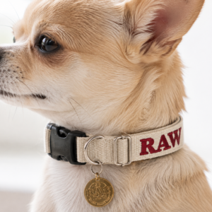 RAW DOG COLLAR