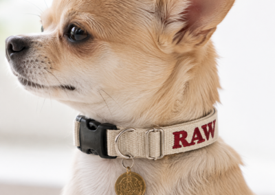 RAW DOG COLLAR