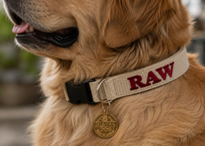 RAW DOG COLLAR