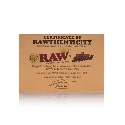 RAW X GEAR SIDEKICK BLACK - Image 4