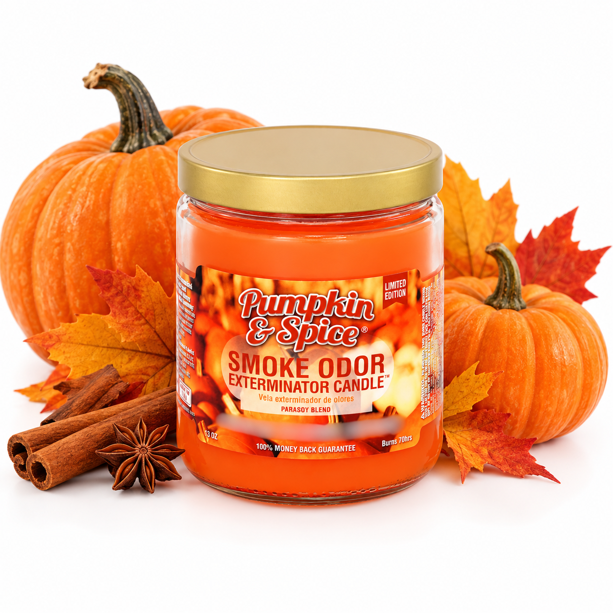 SMOKE ODOR CANDLE PUMPKIN SPIC - Image 2